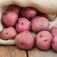 Load image into Gallery viewer, Seed Potatoes
