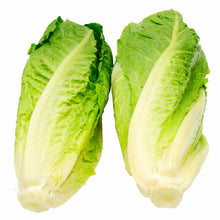 Load image into Gallery viewer, Lettuce - Romaine Hearts (pkg of 3) SPECIAL
