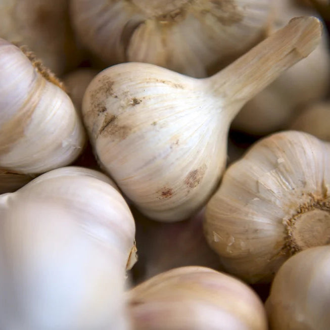 Garlic (each) PRODUCT OF ARGENTINA
