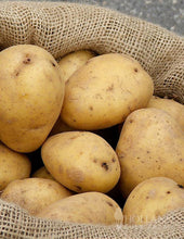 Load image into Gallery viewer, Seed Potatoes
