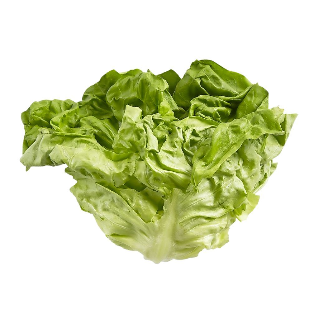 Lettuce - Boston (each) [ONT]