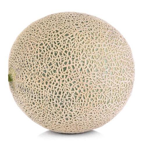 Cantaloupe (each) ONTARIO