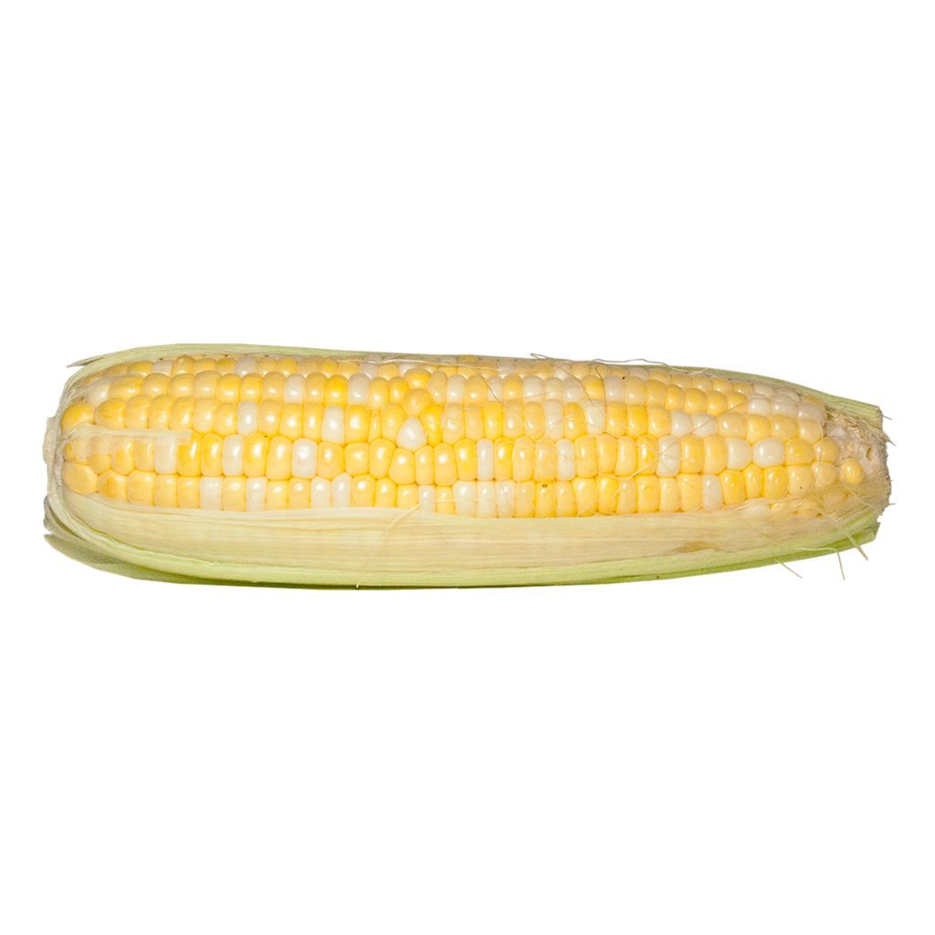 Corn on the Cob (Case of 60)