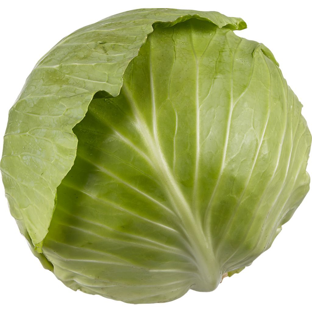 Cabbage - Green (each EST) [ONT]