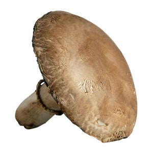 Mushrooms - Portabello (each EST) [ONT]