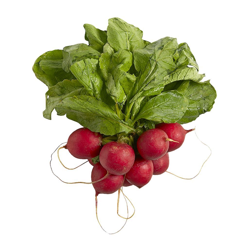 Radishes (bunch) ONTARIO