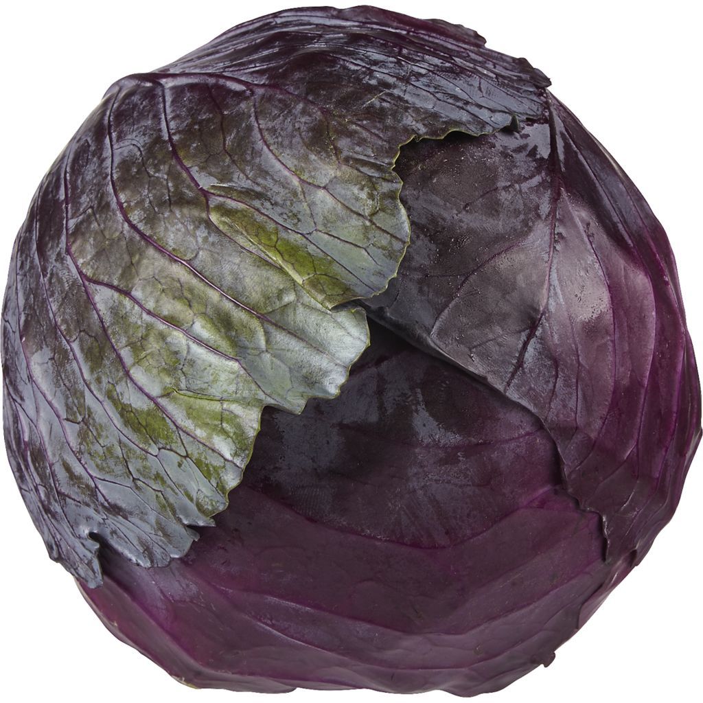 Cabbage - Red (each EST)