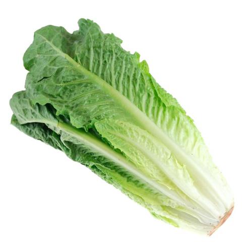 Lettuce - Romaine [ONTARIO] (each)