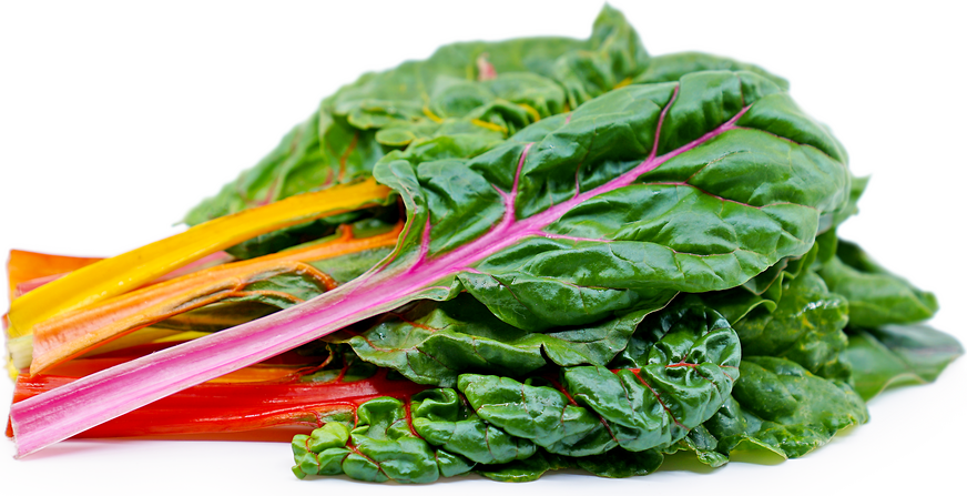 Swiss Chard Rainbow Organic