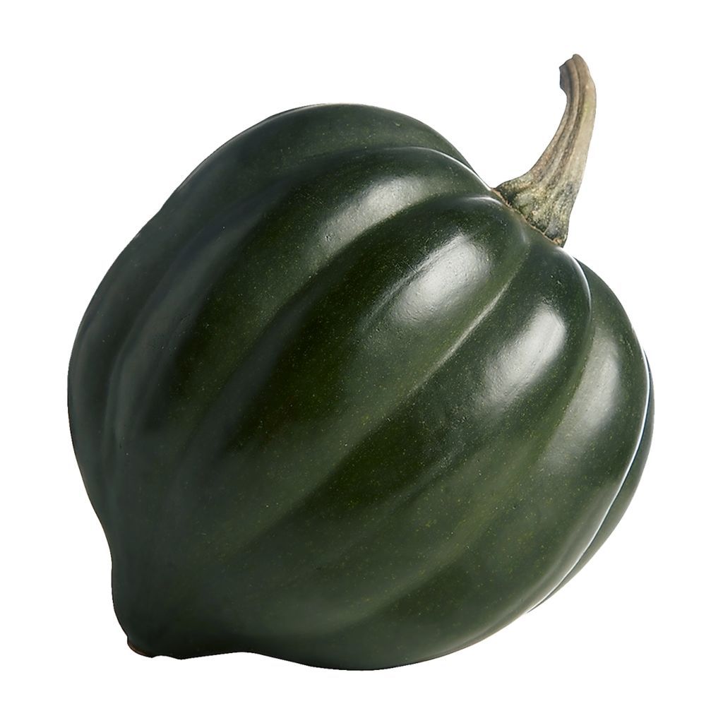 Squash - Acorn/Pepper (each) [ONT]