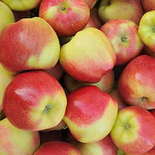 Load image into Gallery viewer, Apples (5lbs. bag) [ONT] [8 options]
