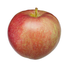 Load image into Gallery viewer, Apples (5lbs. bag) [ONT] [8 options]
