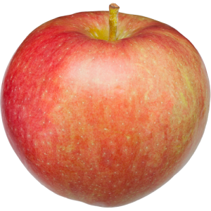 Apples (5lbs. bag) [ONT] [8 options]