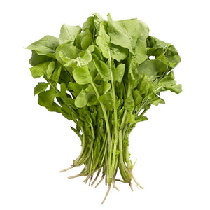 Arugula - Baby (pkg EST)