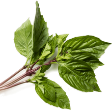 Load image into Gallery viewer, Fresh Herbs (pkg) [ONT] [10 options]

