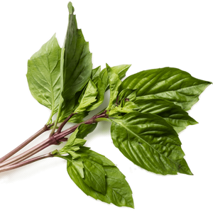 Fresh Herbs (pkg) [ONT] [10 options]