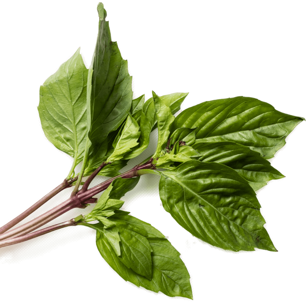 Fresh Herbs (pkg) [ONT] [10 options]