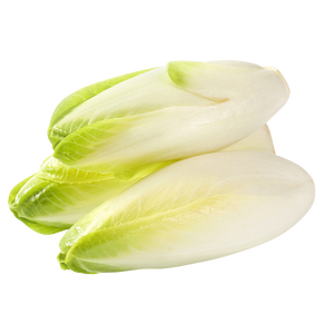 Endive - Belgian (each EST) [ONT]