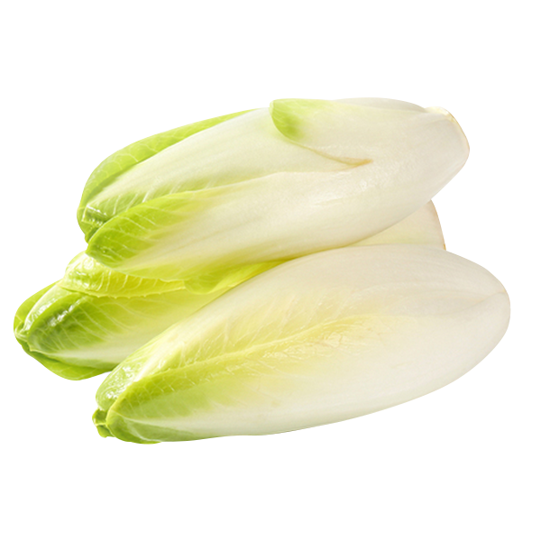 Endive - Belgian (each EST) [ONT]