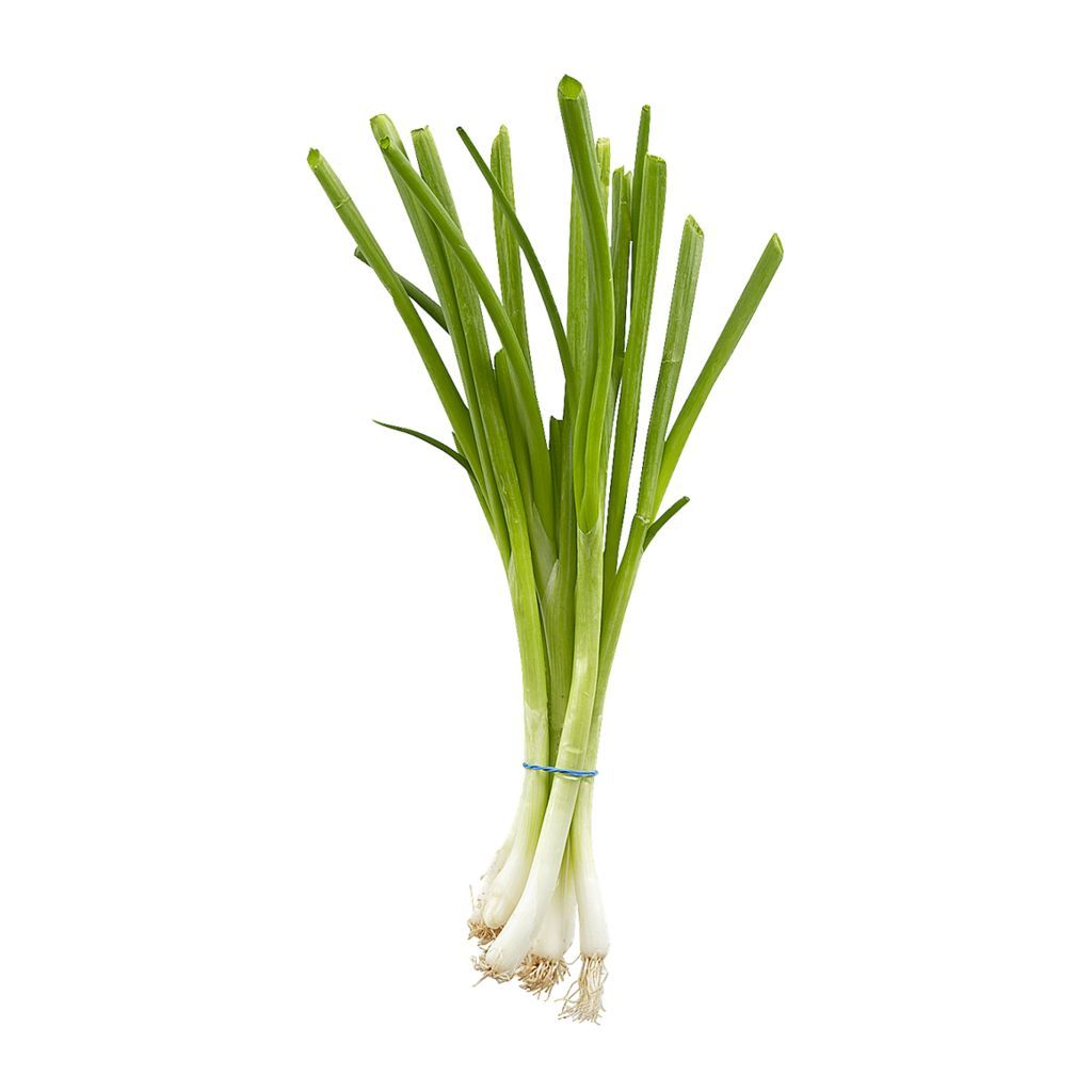 Green Onion (bunch) [ONT]
