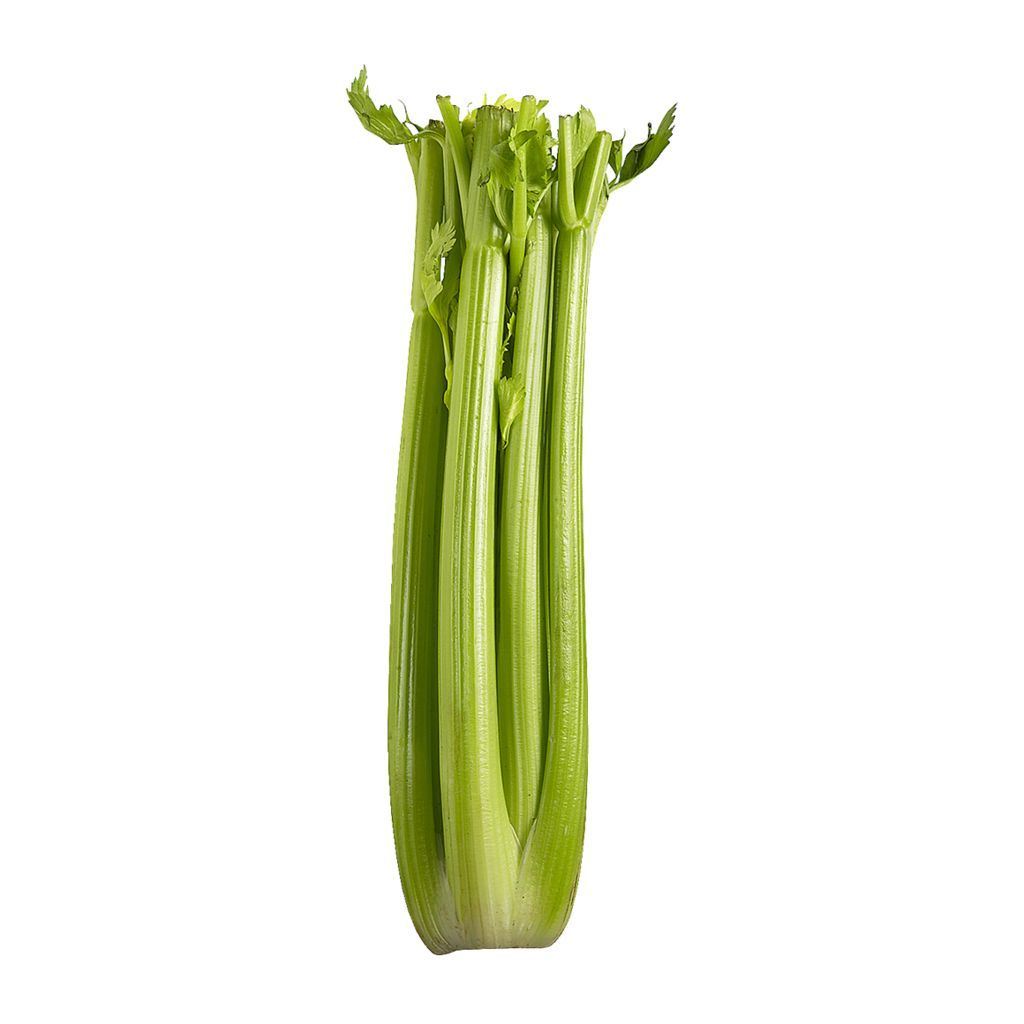 Celery CANADA (Case of 24)