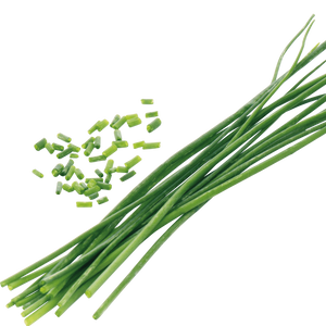 Fresh Herbs (pkg) [ONT] [10 options]