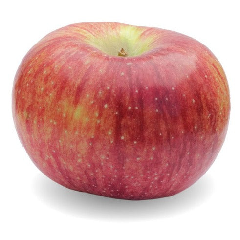 Apples - Cortland (each EST) [ONT]