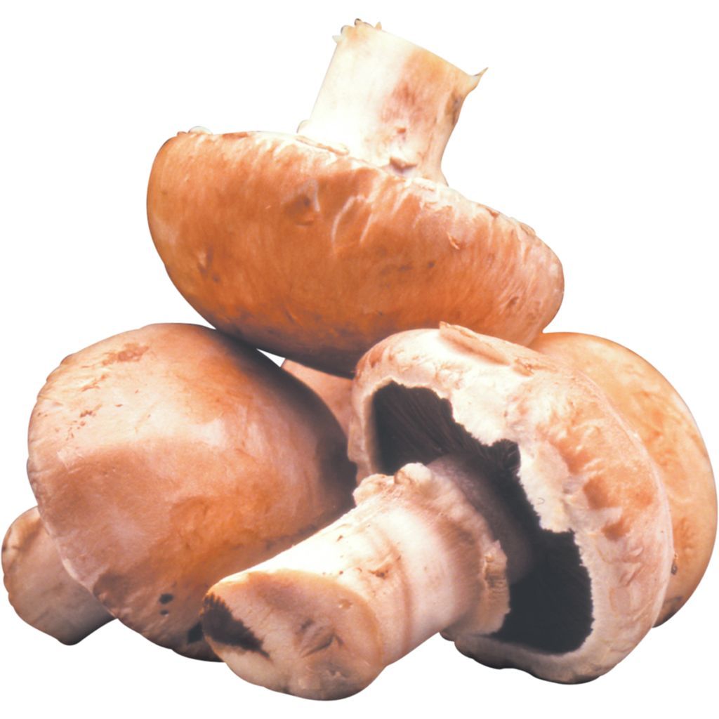 Mushrooms - Cremini/Brown (each EST) [ONT]
