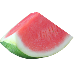 Watermelon - Cut (each EST) [2 options]