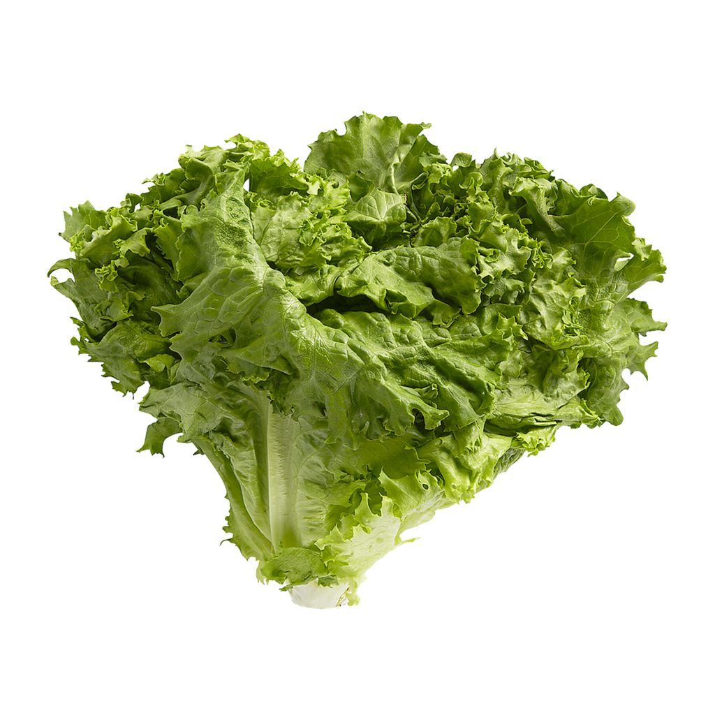 Lettuce - Green Leaf (Case of 12) ONTARIO
