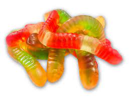 Gummy Worms (2 sizes)