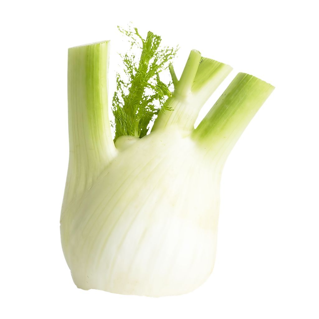 Fennel (each)