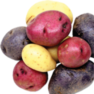 Potatoes - Mini ONTARIO (pkg EST) [2 options]