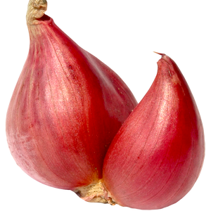 Onions - Shallots (each EST) [ONT]