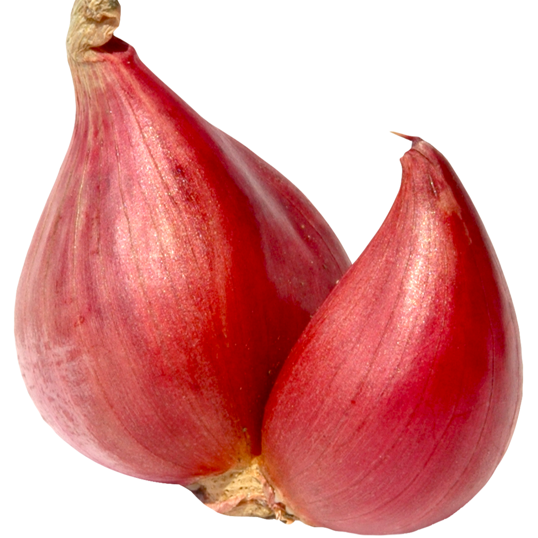 Onions - Shallots (each EST) [ONT]