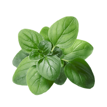 Load image into Gallery viewer, Fresh Herbs (pkg) [ONT] [10 options]
