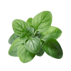 Fresh Herbs (pkg) [ONT] [10 options]