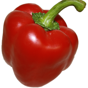 Peppers - Coloured (each EST) [ONT] [3 options]