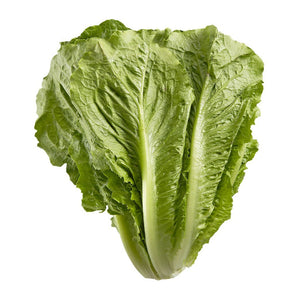 Lettuce - Romaine - (Case of 12) ONTARIO