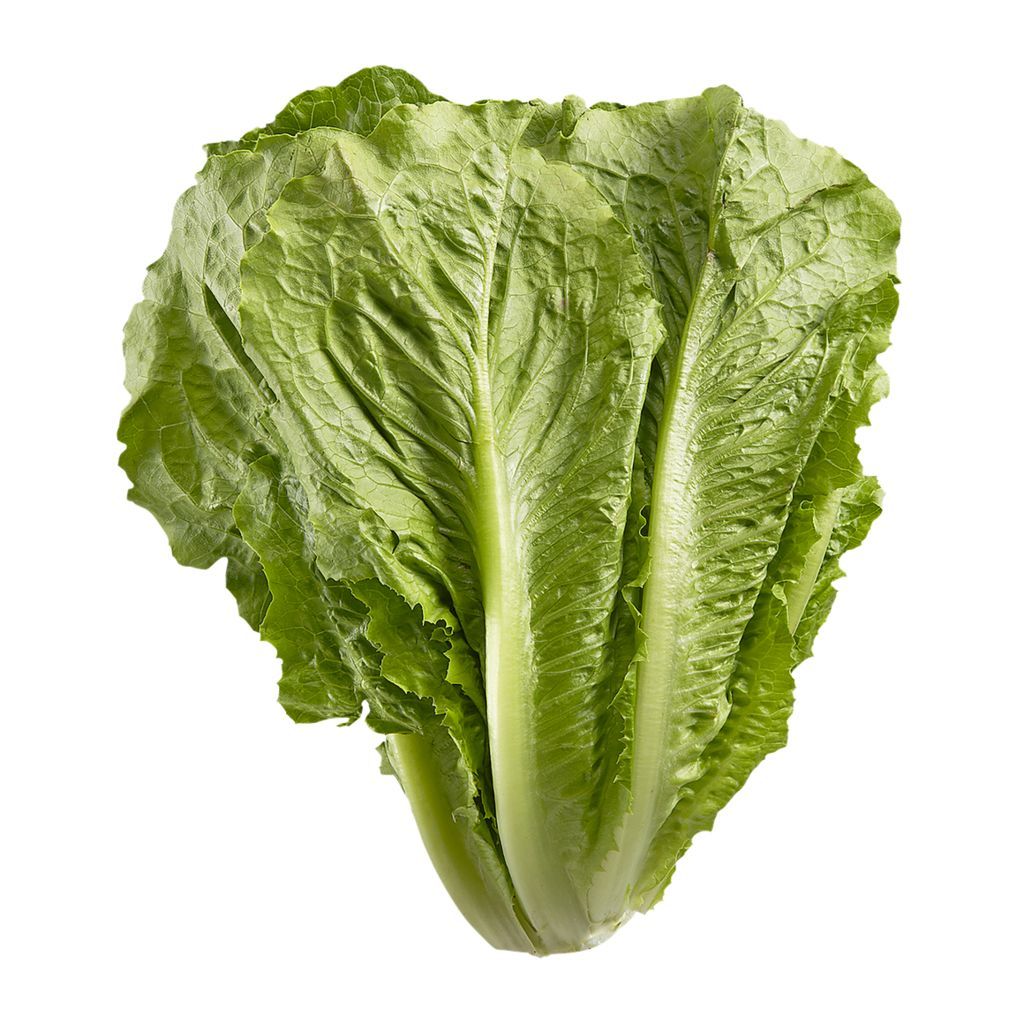 Lettuce - Romaine - (Case of 12) ONTARIO