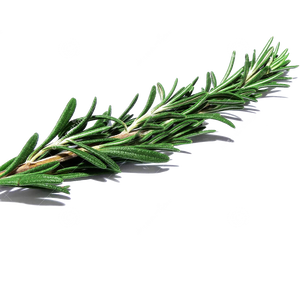 Fresh Herbs (pkg) [ONT] [10 options]