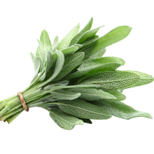 Load image into Gallery viewer, Fresh Herbs (pkg) [ONT] [10 options]
