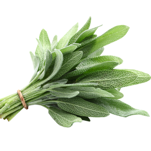 Fresh Herbs (pkg) [ONT] [10 options]