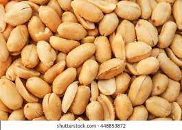 Salted Peanuts (2 sizes)