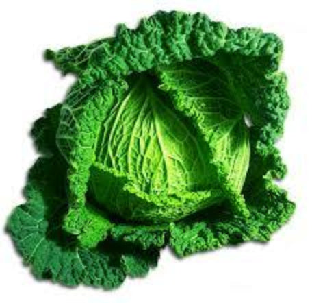 Cabbage - Savoy (each EST)