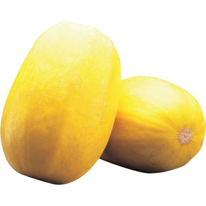 Squash - Spaghetti (each EST)
