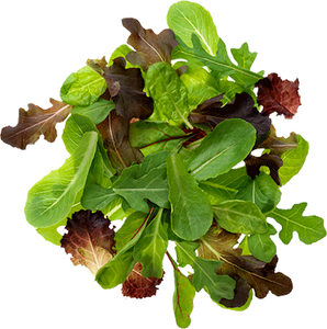 Spring Mix (3lb)
