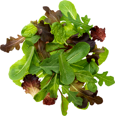 Spring Mix (3lb)