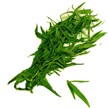 Load image into Gallery viewer, Fresh Herbs (pkg) [ONT] [10 options]
