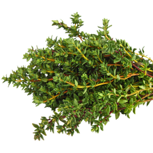 Load image into Gallery viewer, Fresh Herbs (pkg) [ONT] [10 options]
